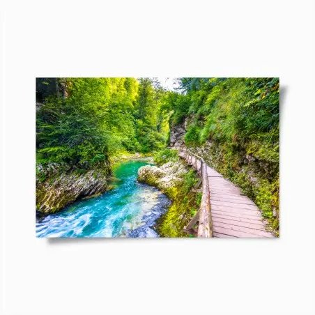Poster türkisfarbener fluss und holzsteg im wald – Pixers®