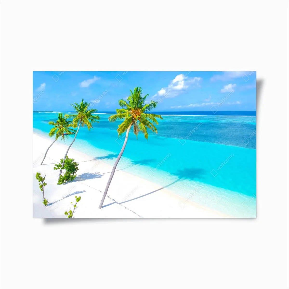 Poster tropischer türkisfarbener strand mit palmen – Pixers®