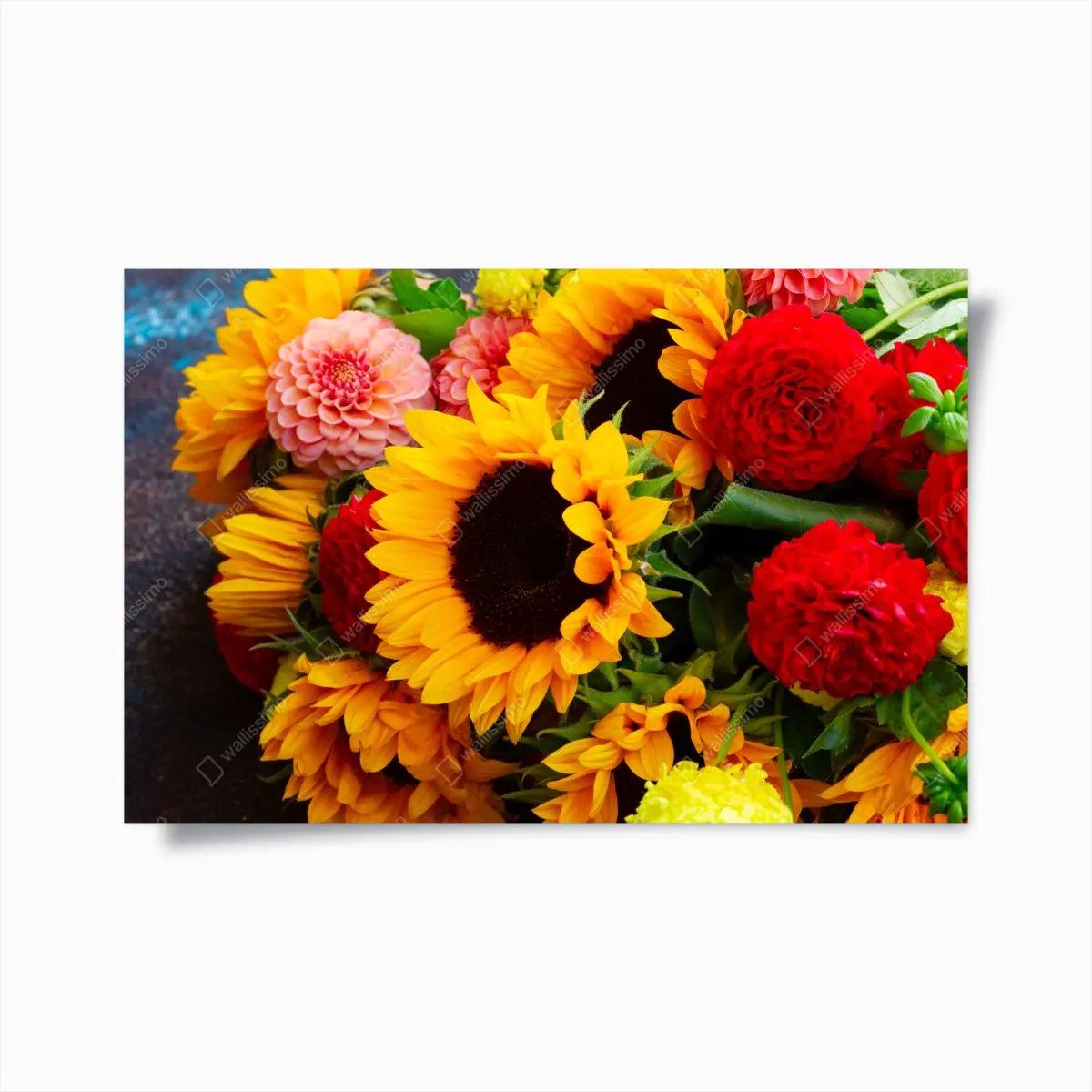 Poster nahaufnahme sonnenblumen- und dahlienstrauß – Pixers®