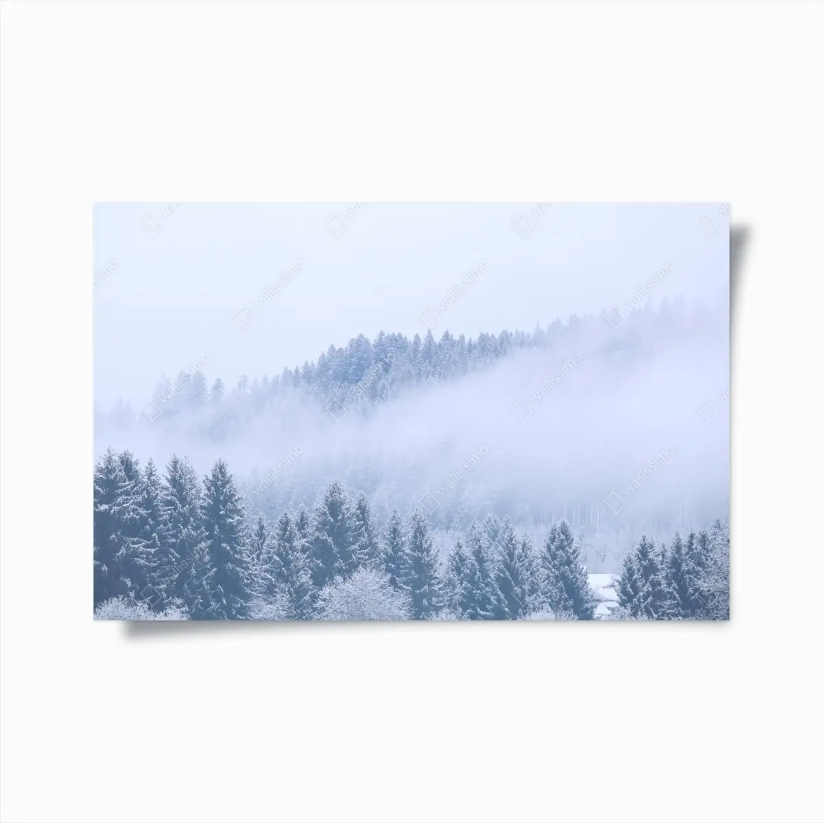 Poster winternebel über nadelwald – Pixers®