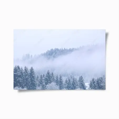 Poster winternebel über nadelwald – Pixers®