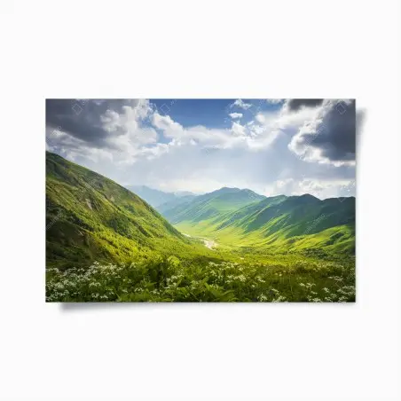 Poster üppiges grünes tal – Pixers®
