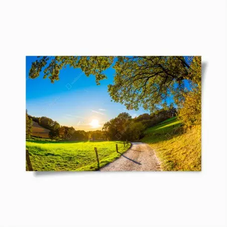 Poster sonnenbeschienene wiese mit landweg bei sonnenuntergang – Pixers®