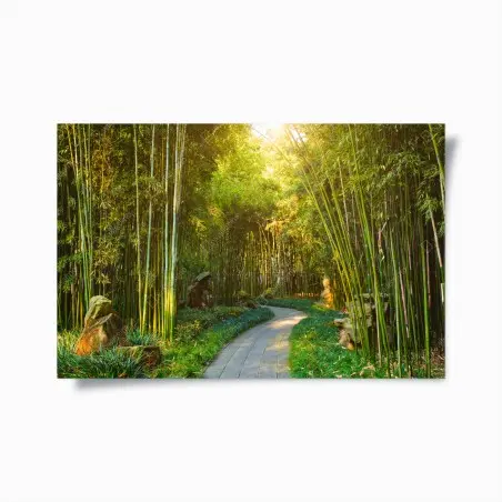Poster ruhiger bambuswald mit pfad – Pixers®