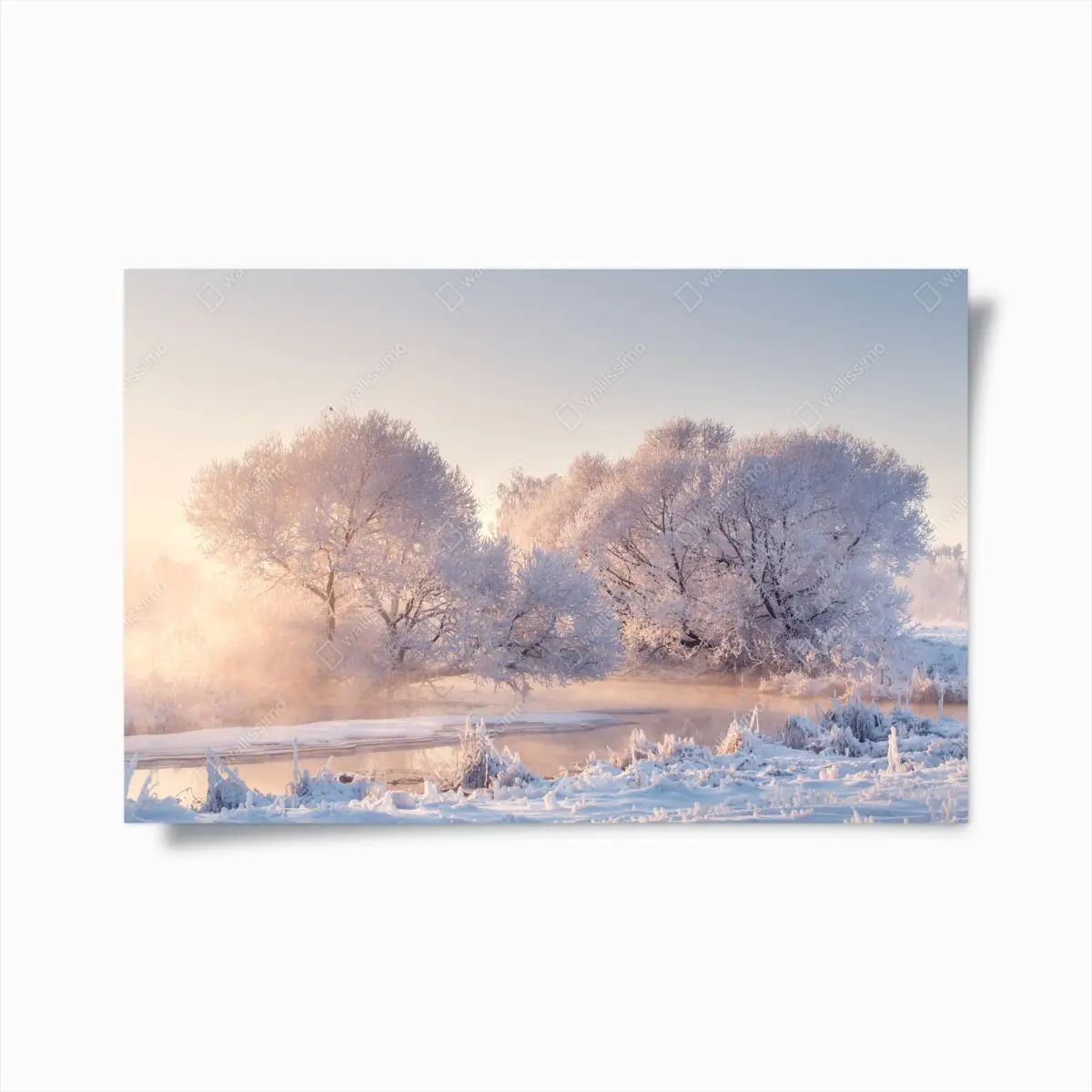 Poster raureifbedeckte bäume bei sonnenaufgang – Pixers®