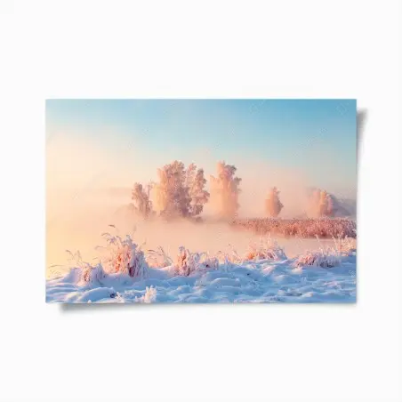 Poster winterlicher sonnenaufgang über einer frostigen wiese – Pixers®