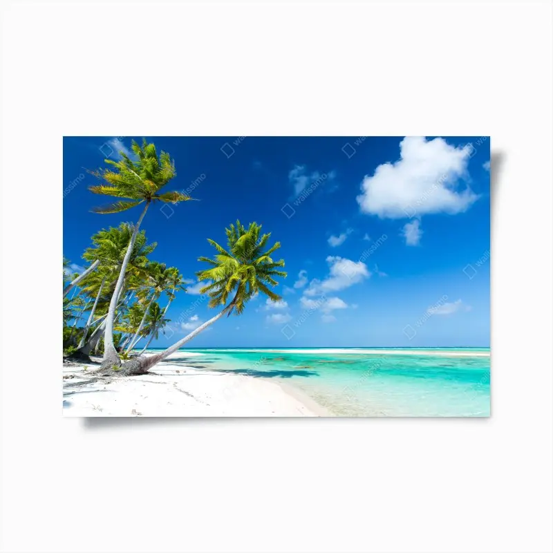 Poster tropischer strand mit palmen und türkisfarbenem wasser