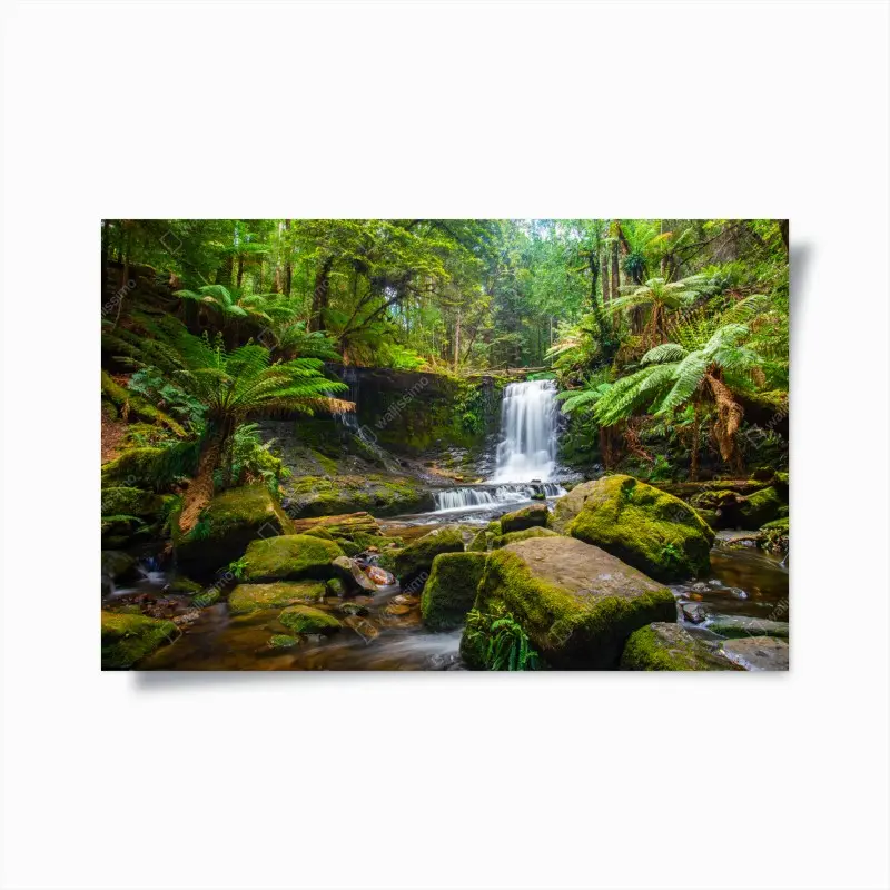 Poster üppiger waldwasserfall
