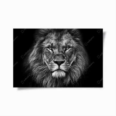 Poster majestätisches löwenportrait in monochrom – Pixers®
