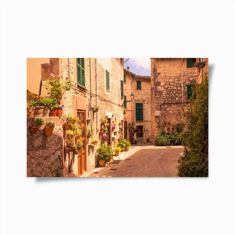 Poster sonnige mediterrane gasse mit blumentöpfen