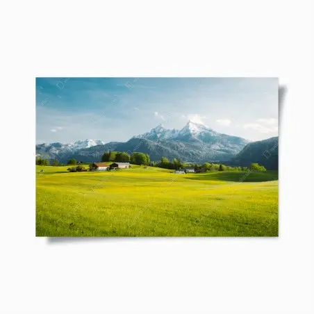 Poster alpwiese unter schneebedeckten gipfeln – Pixers®