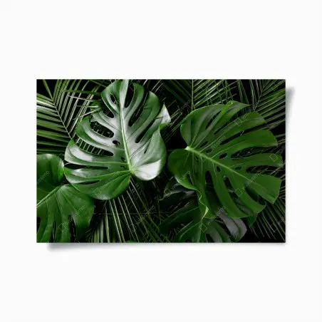 Poster üppige monstera-blätter – Pixers®