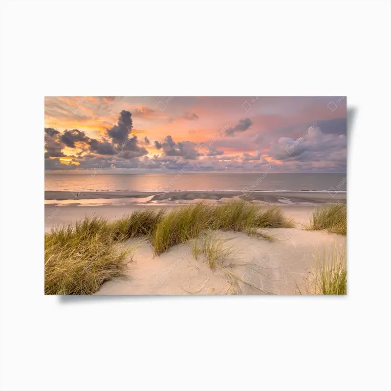 Poster sonnenuntergang über dünen in Zeeland