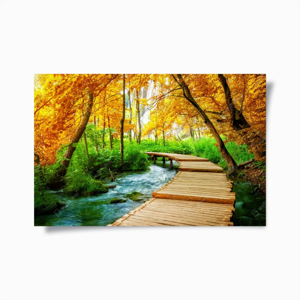 Poster goldener steg durch den wald bei Plitvicer Seen – Pixers®