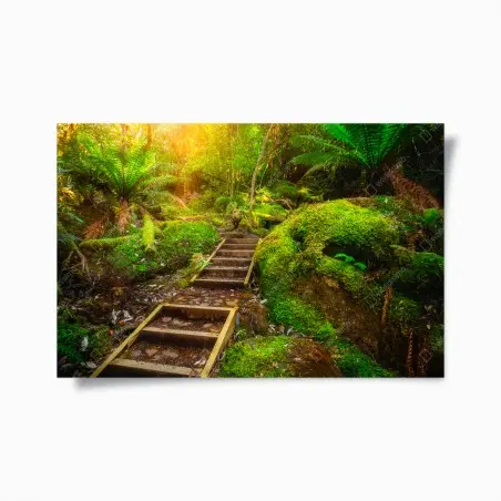 Poster moosiger regenwaldpfad auf der Tasman-Halbinsel – Pixers®
