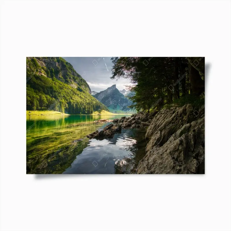 Poster ruhiger bergsee mit spiegelungen im wald