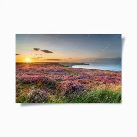 Poster sonnenuntergang über der heide auf den North York Moors – Pixers®