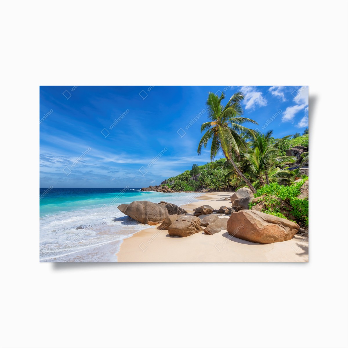 Poster tropischer palmenstrand – Pixers®