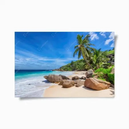 Poster tropischer palmenstrand – Pixers®