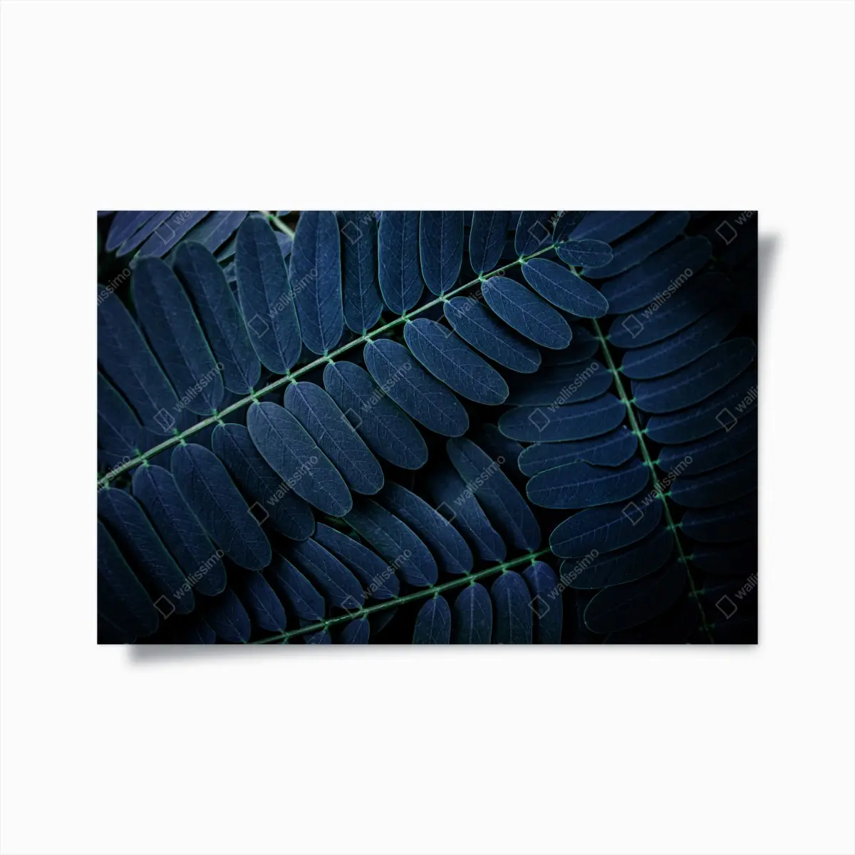 Poster tiefblaues blattmuster – Pixers®