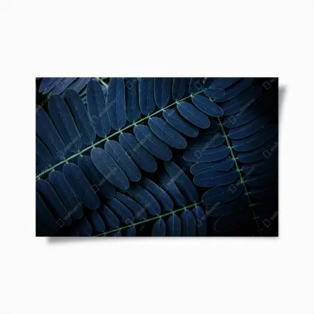 Poster tiefblaues blattmuster – Pixers®