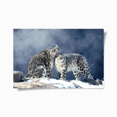 Poster majestätische schneeleoparden im winter – Pixers®