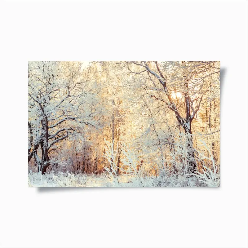 Poster wintersonne im verschneiten wald
