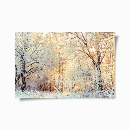 Poster wintersonne im verschneiten wald – Pixers®