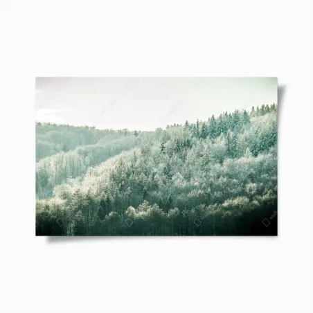 Poster nebliger reifbedeckter wald – Pixers®