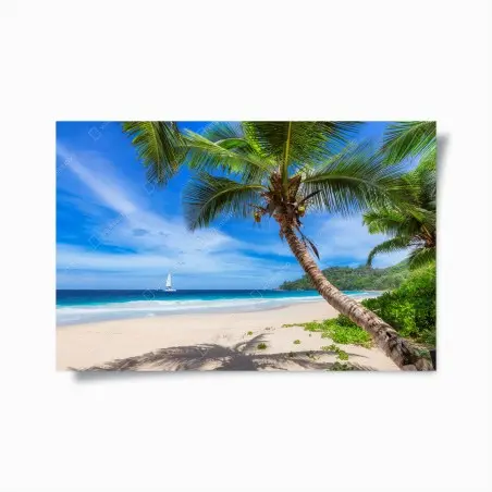 Poster tropischer strand mit palme – Pixers®
