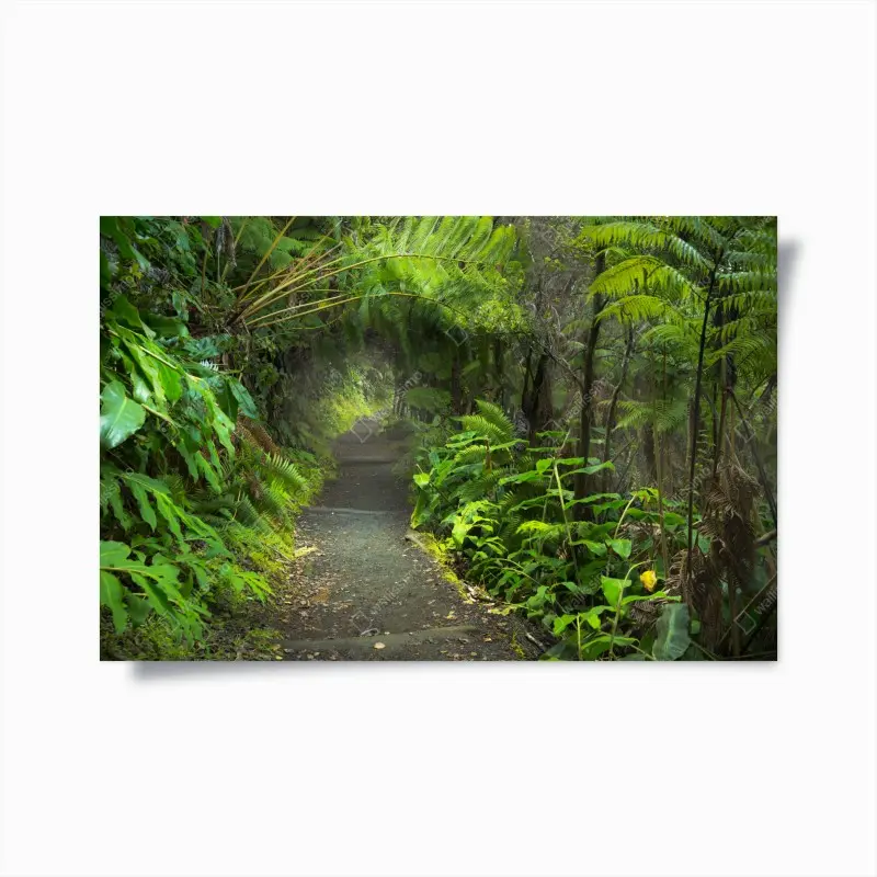 Poster üppiger regenwaldpfad im Kilauea Iki, Hawaii