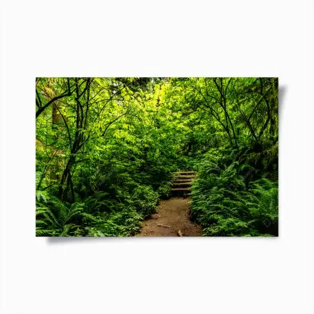 Poster üppiger waldpfad – Pixers®