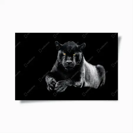 Poster porträt eines schwarzen panthers vor schwarzem hintergrund – Pixers®