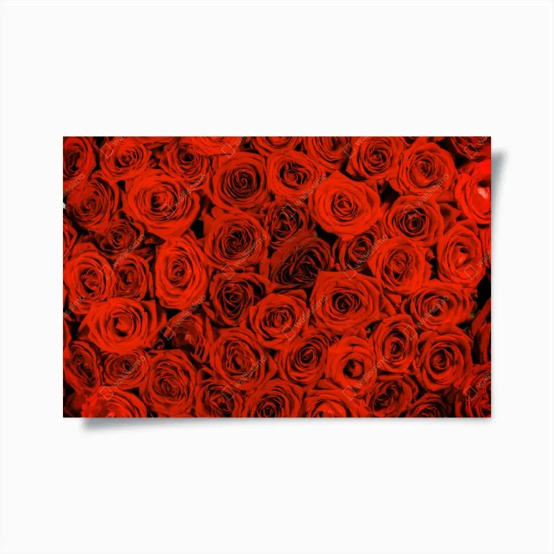 Poster prächtiger strauß roter rosen