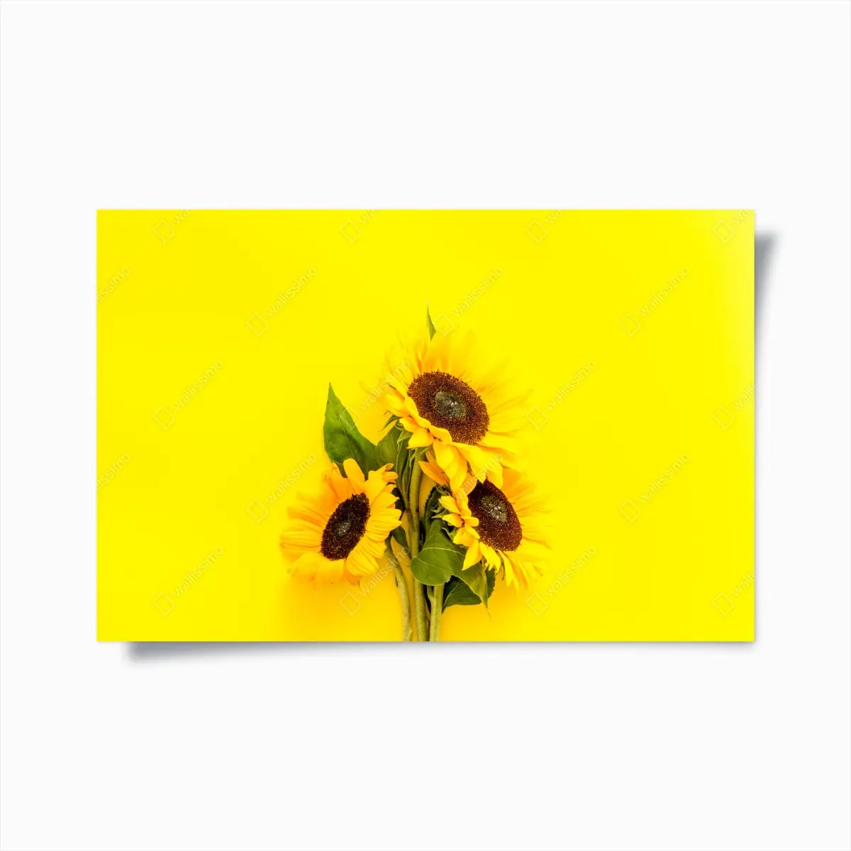 Poster leuchtender sonnenblumenstrauß auf gelbem hintergrund – Pixers®