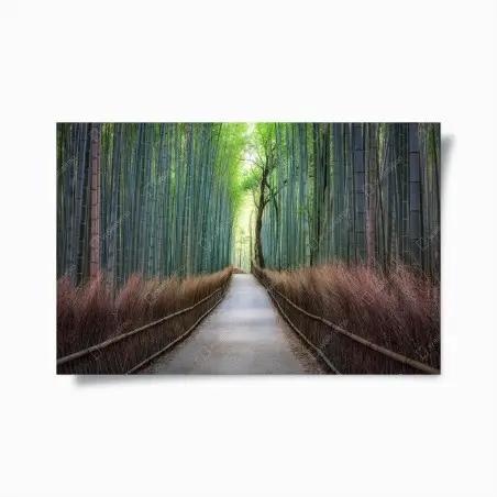 Poster ruhiger bambuswaldweg – Pixers®