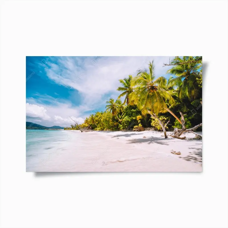 Poster tropischer strandidyll mit palmen