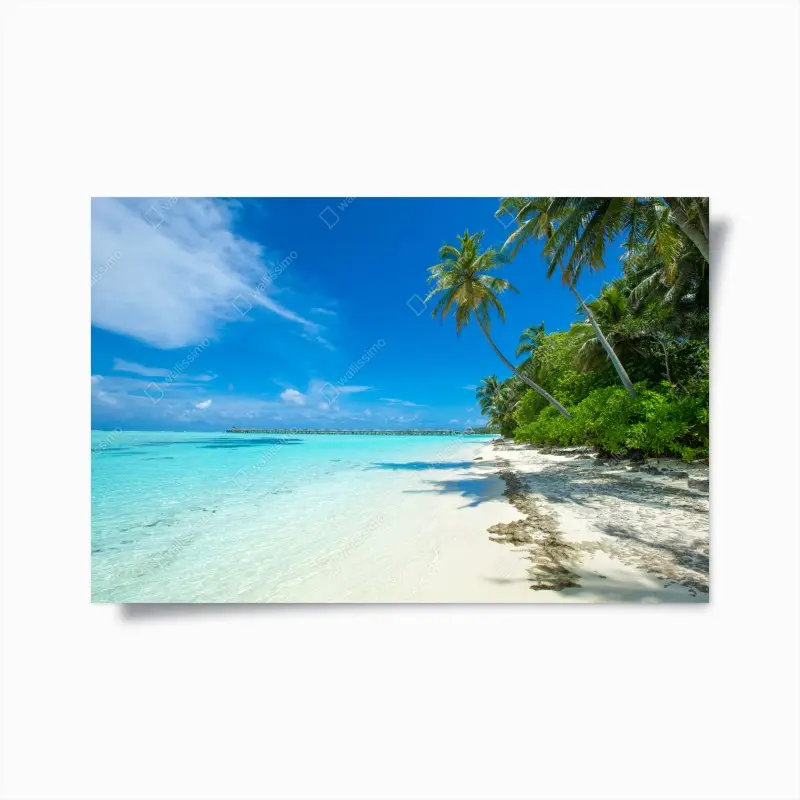 Poster tropischer strand auf den Malediven