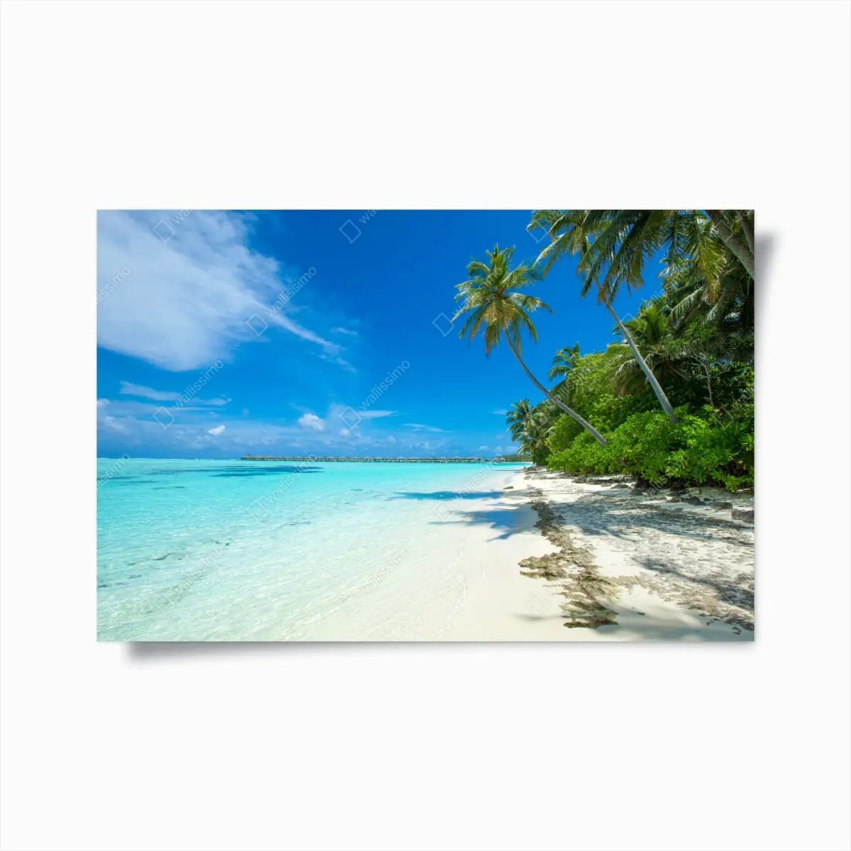 Poster tropischer strand auf den Malediven – Pixers®