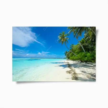 Poster tropischer strand auf den Malediven – Pixers®