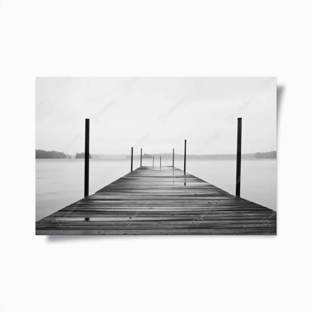 Poster nebliger steg am see in monochrom – Pixers®