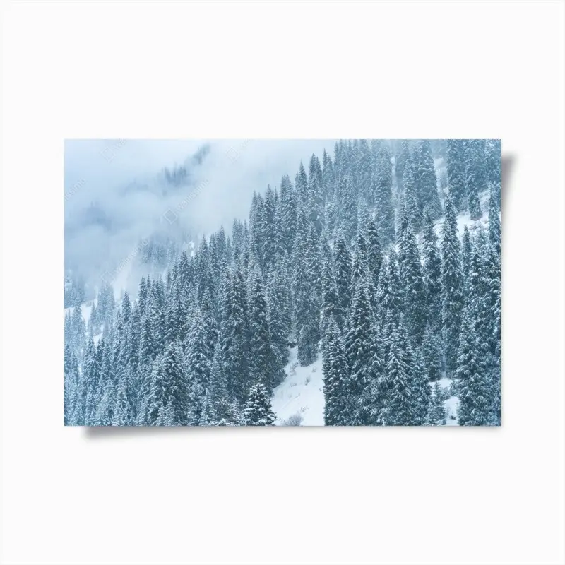 Poster nebeliger schneebedeckter kiefernwald