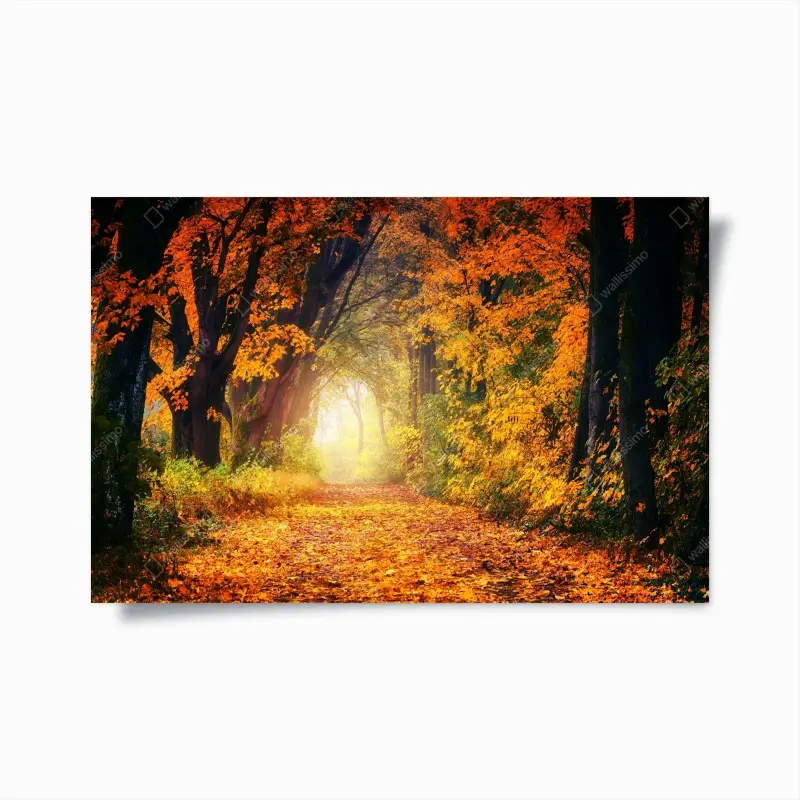 Poster herbstlicher waldpfad im goldenen licht