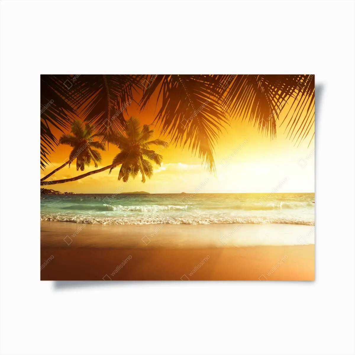 Poster goldener sonnenuntergang an einem strand in der Karibik – Pixers®