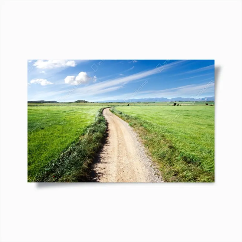 Poster gewundener landweg durch grüne wiesen