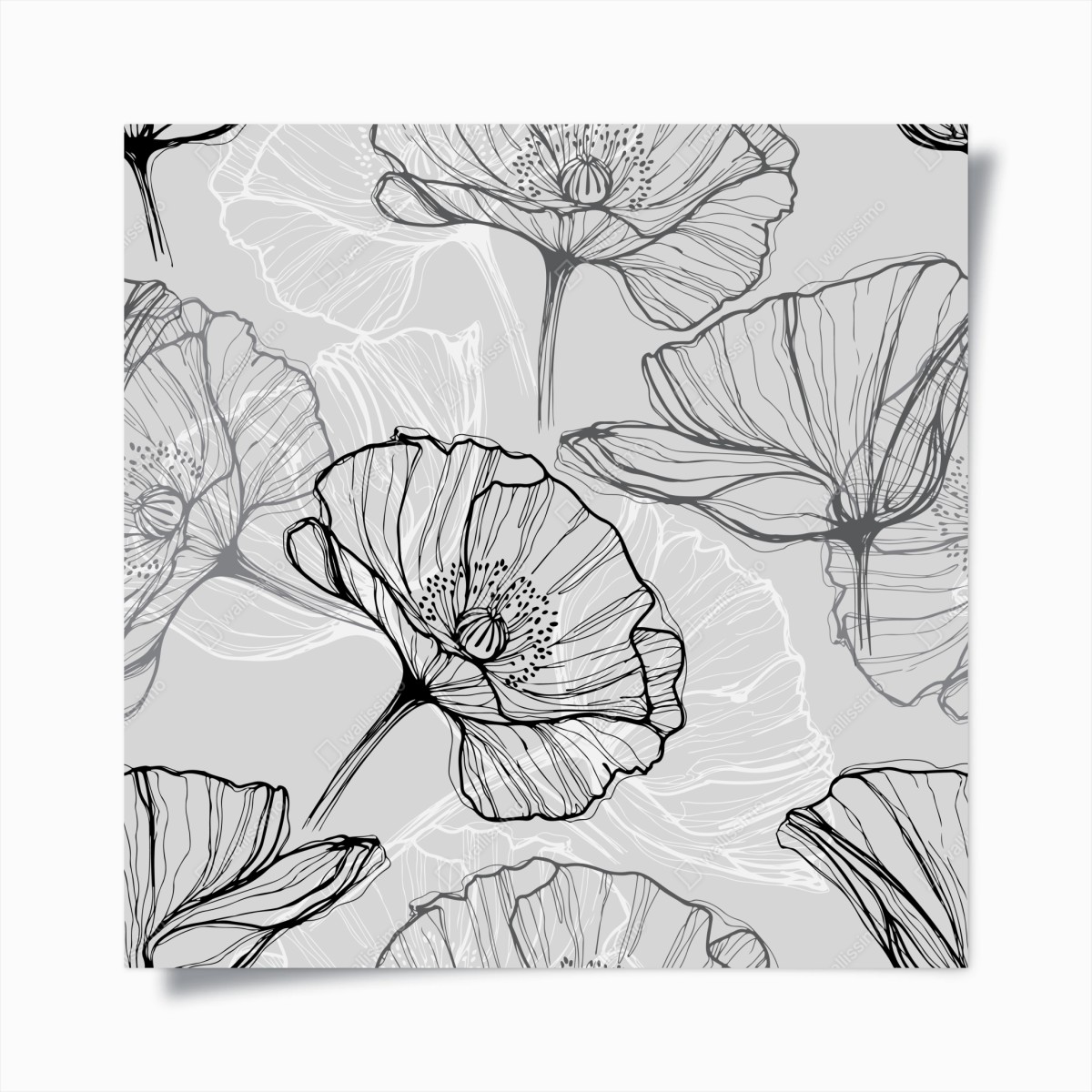 Poster zarter grauer mohn in linienzeichnung – Pixers®