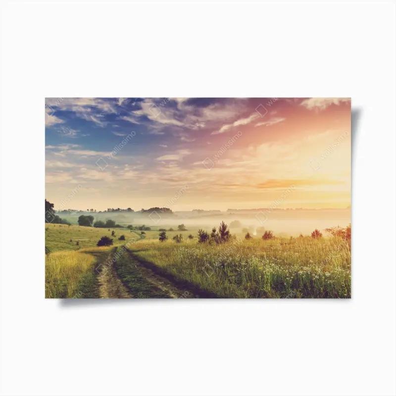 Poster nebeliger sonnenaufgang über einer ländlichen wiese