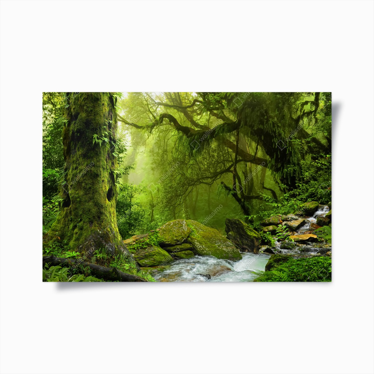 Poster verzauberter grüner waldbach – Pixers®