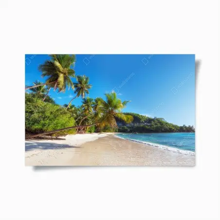 Poster tropischer palmstrand – Pixers®