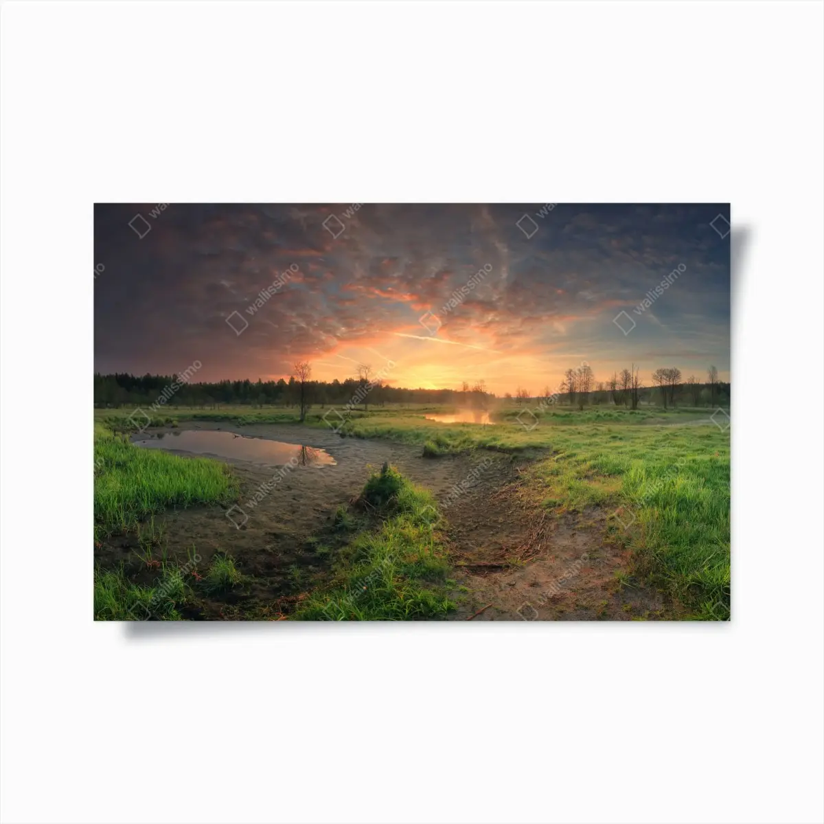 Poster sonnenuntergang über einer ruhigen wiese – Pixers®